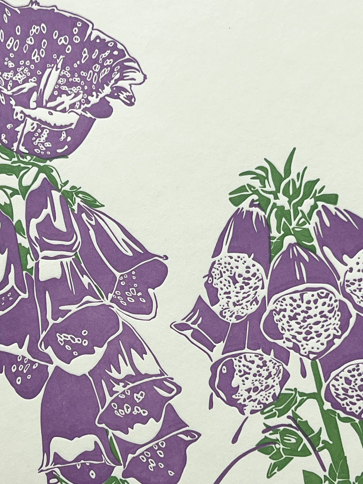 Wild Foxglove Letterpress Card close up by penguin ink at penny black