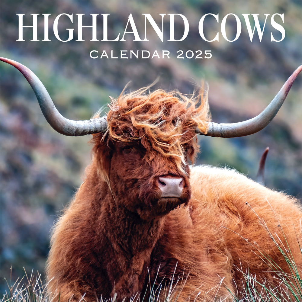 2025 Highland Cow Calendar