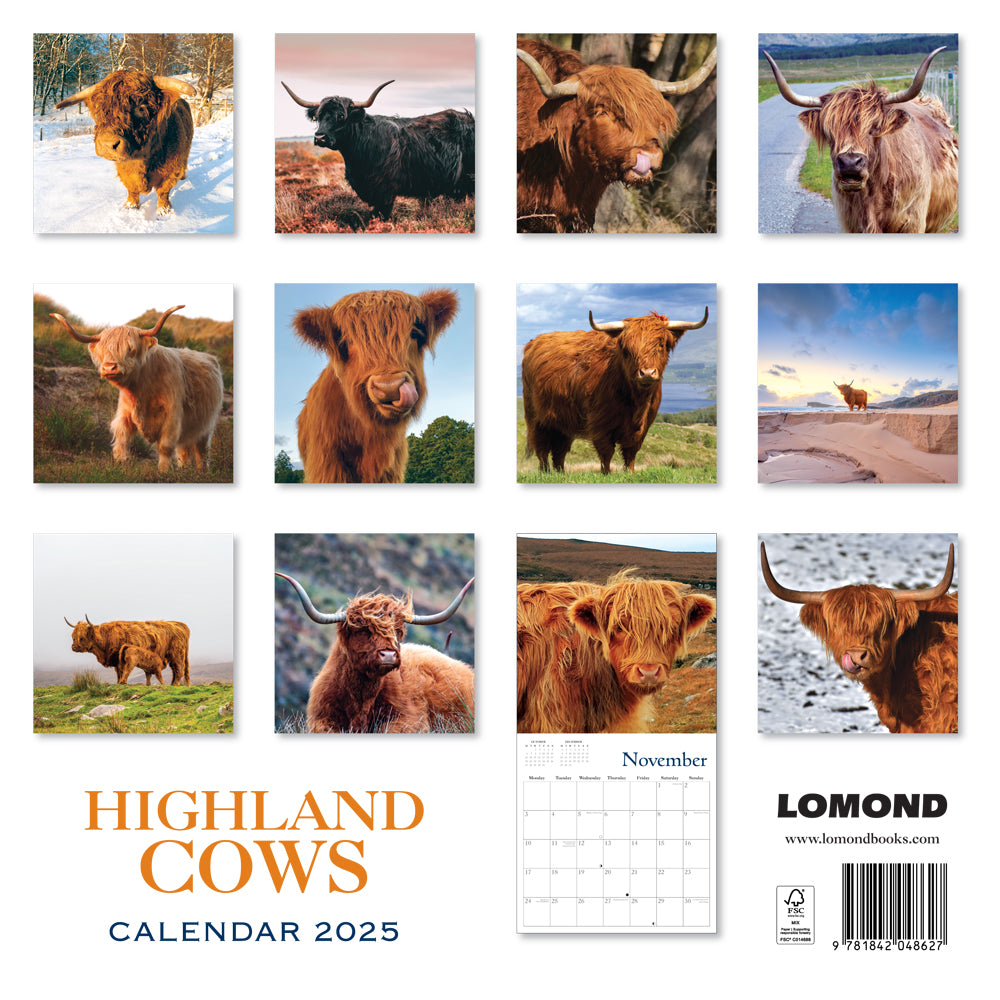 2025 Highland Cow Calendar