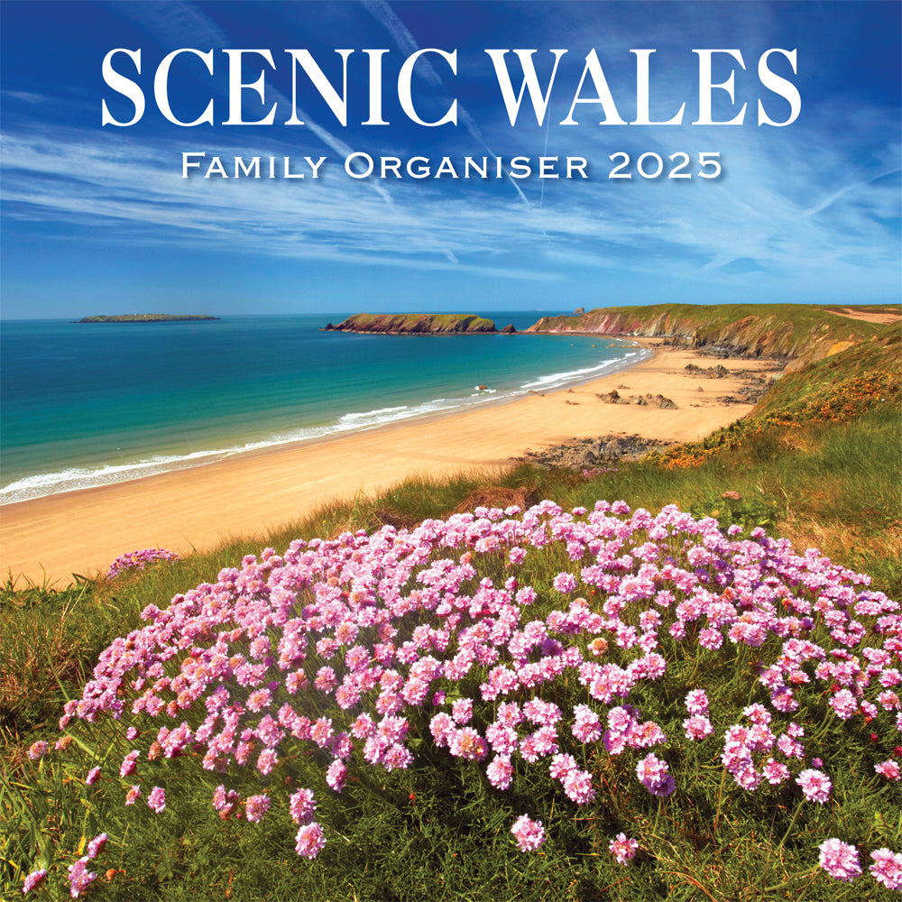 2025 Scenic Wales Family Organiser Calendar by penny black