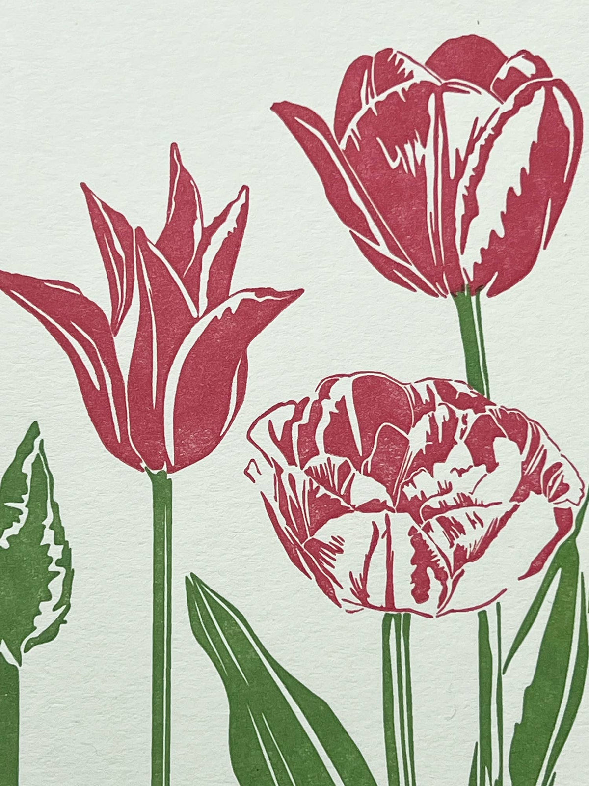 Pink Tulips Letterpress Card close up by penguin ink at penny black