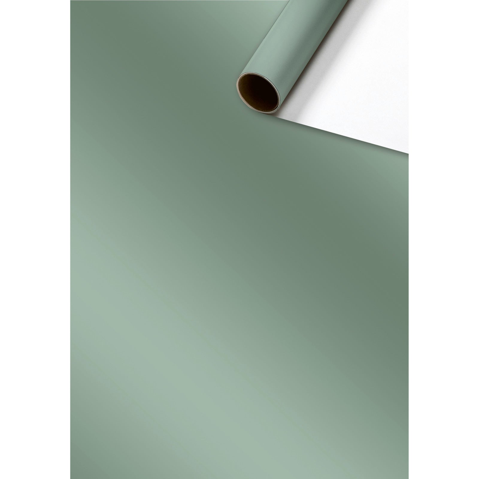 Uni Pure Sage Gift Wrapping Paper Roll by penny black