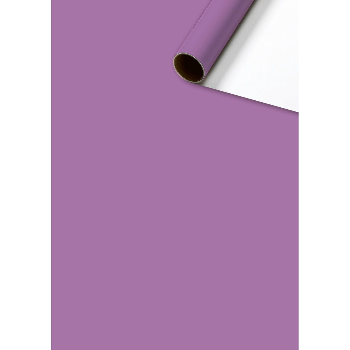 Colour Block Wrapping Paper 2m Roll in purple - Penny Black