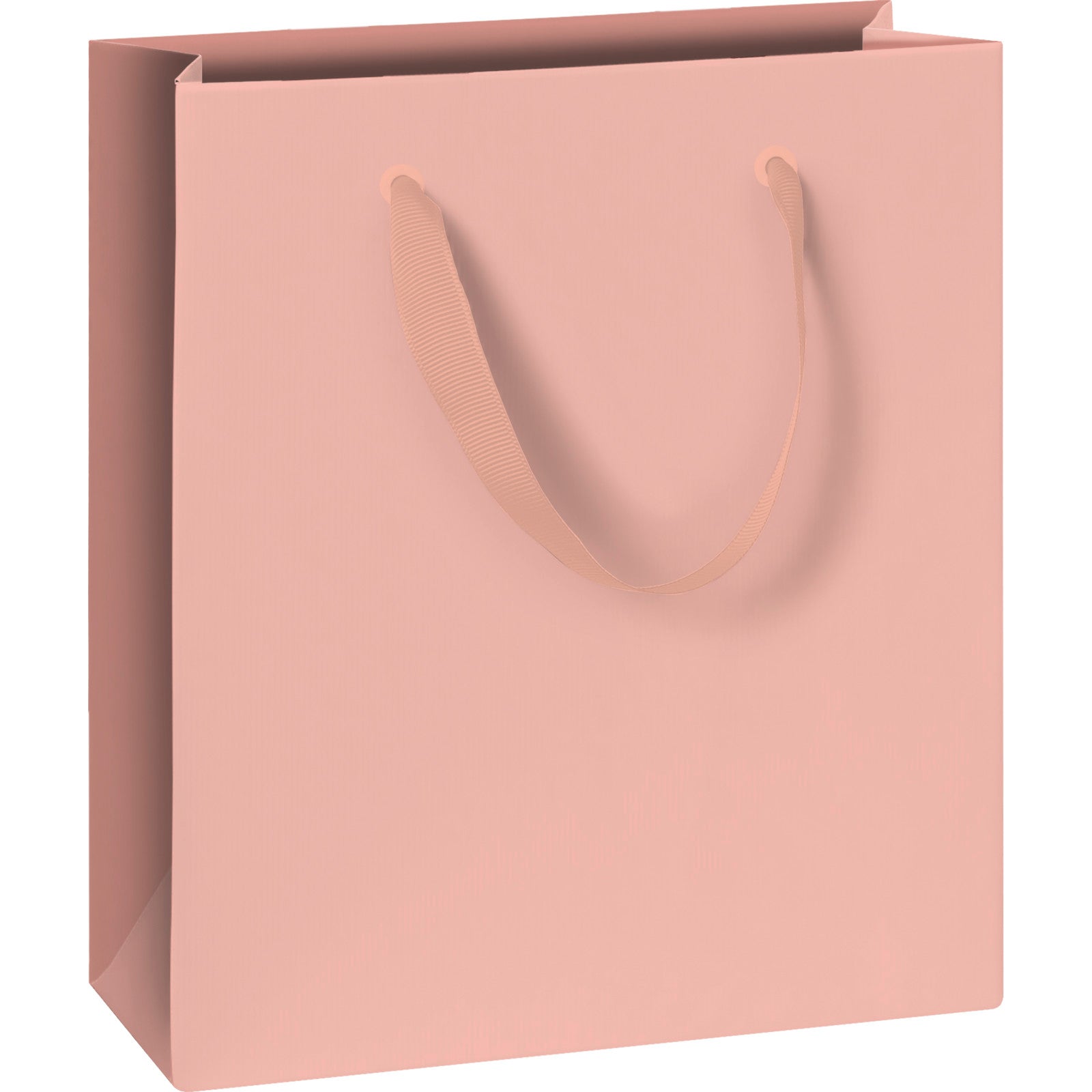 Pure Pink Medium Gift Bag by penny black