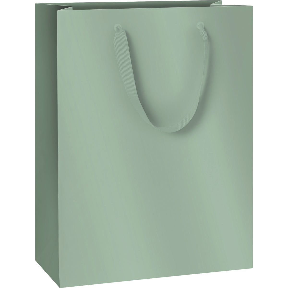 Pure Sage Large Gift Bag by penny black