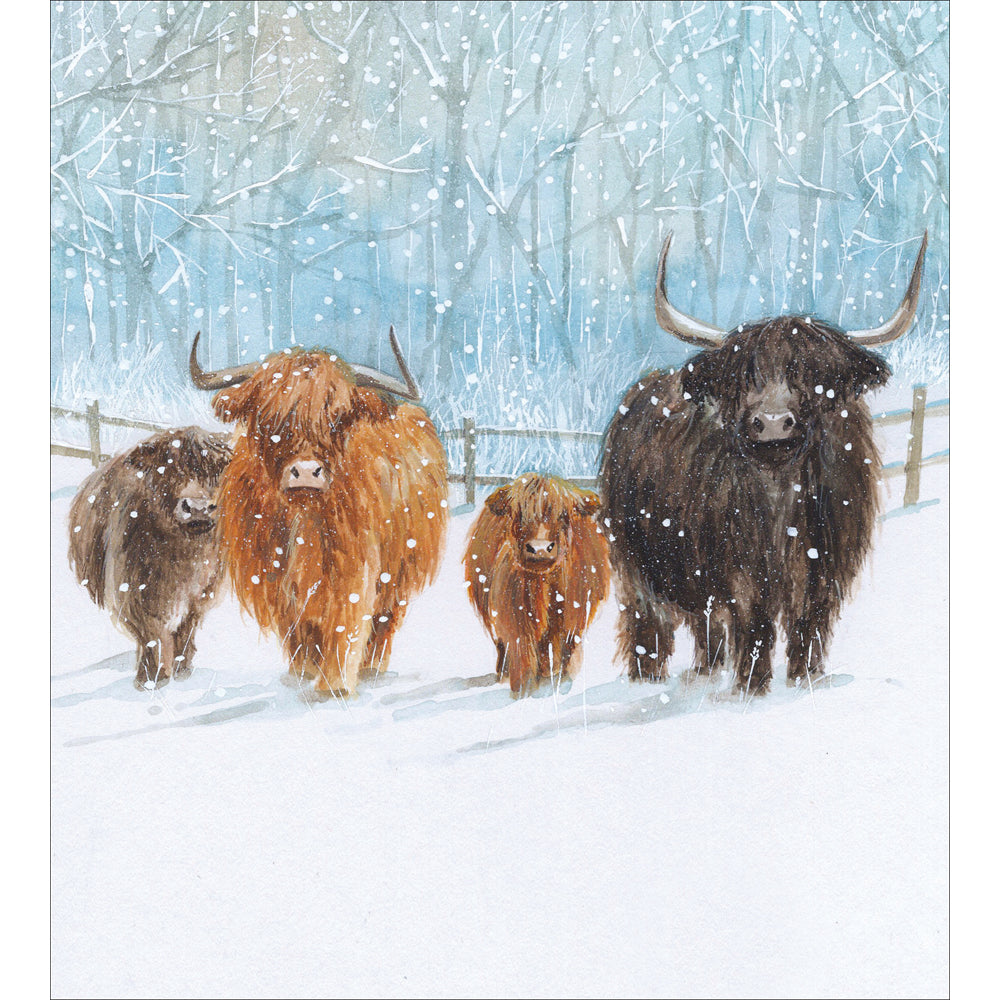 Highland Cow Welcome Charity Christmas Cards 5pk by penny black