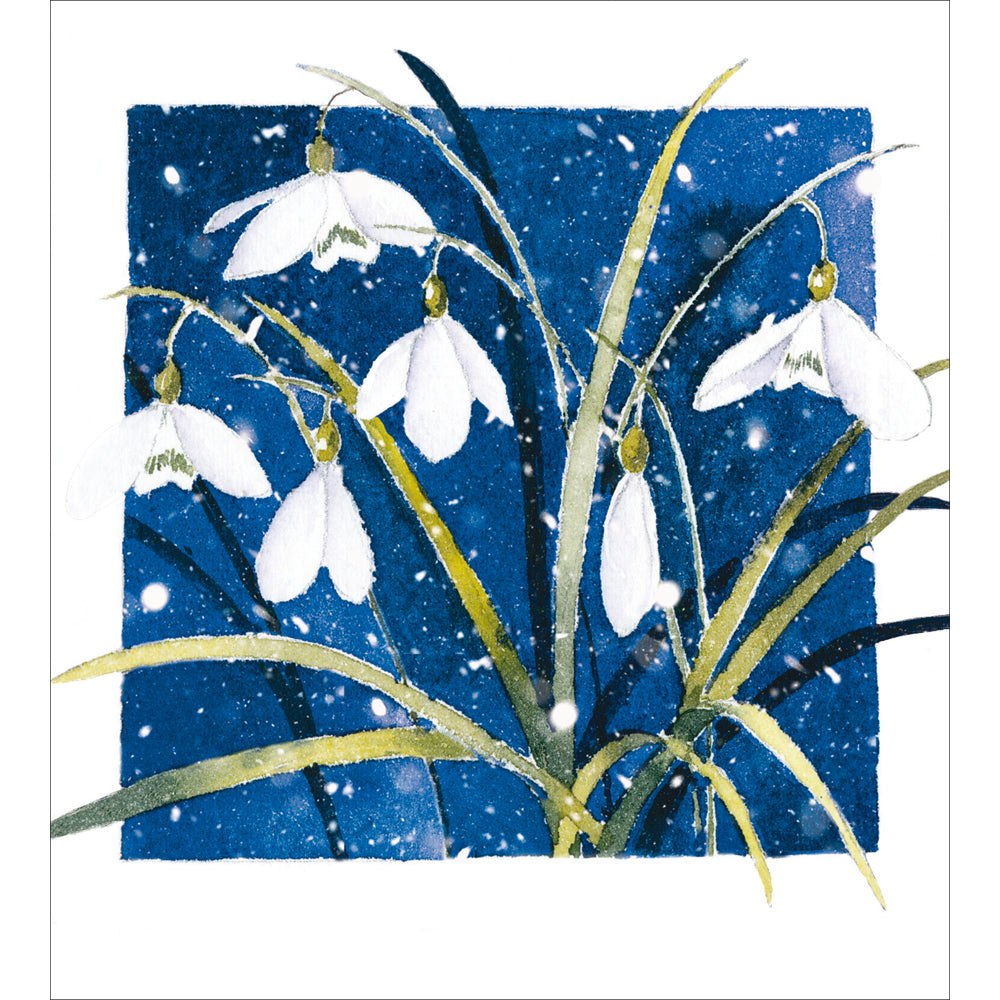 Midnight Snowdrops Charity Christmas Cards 5pk by penny black