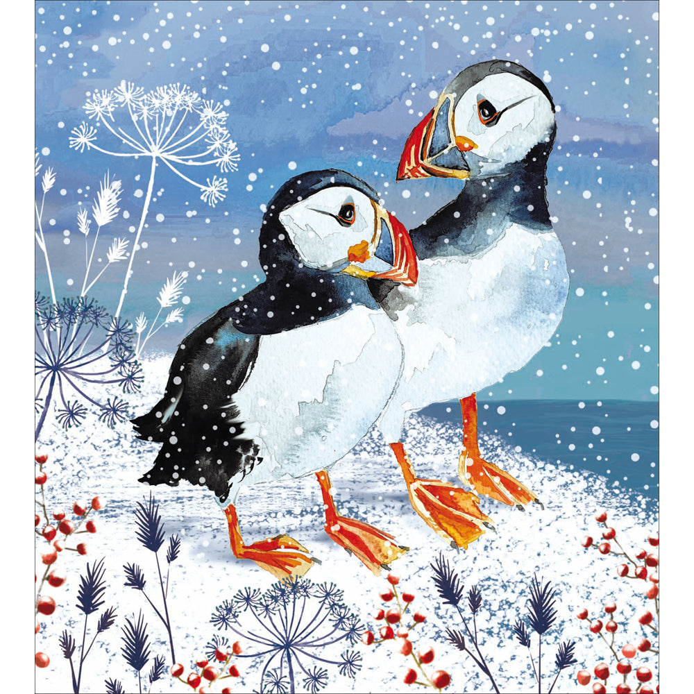 Puffins in the Snow Charity Christmas Cards 5pk by penny black