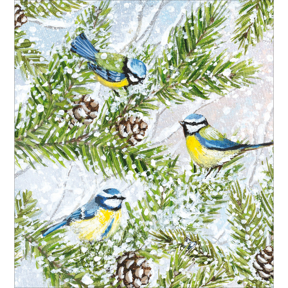 Blue Tits on Branches Charity Christmas Cards 5pk by penny black