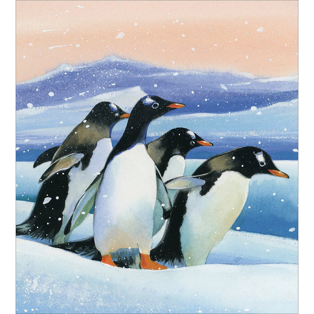 Gentoo Penguin Waddle Charity Christmas Cards 5pk by penny black