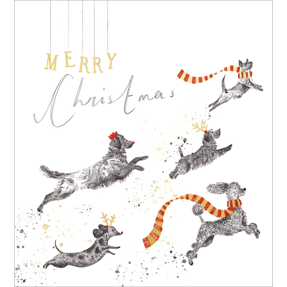 Jolly Good Dogs Christmas Charity Christmas Cards 5pk by penny black