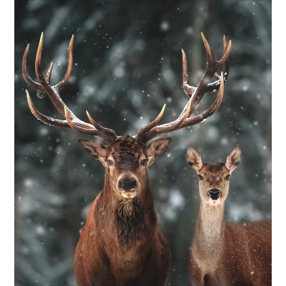 Winter Herd Charity Christmas Cards 5pk by penny black