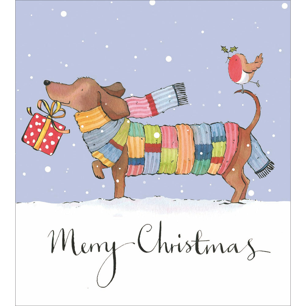 Wrapped Up Sausage Dog Charity Christmas Cards 5pk by penny black