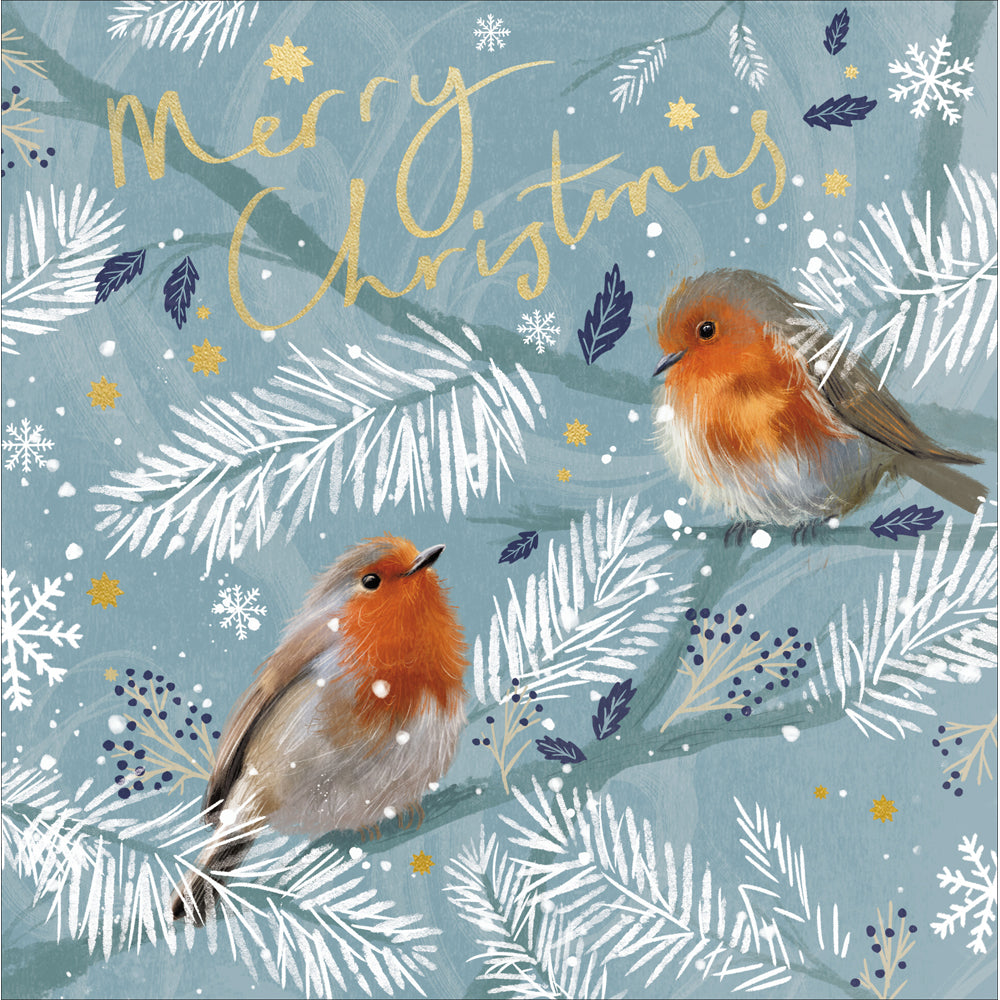 Robins Perched Glazed Christmas Card by penny black