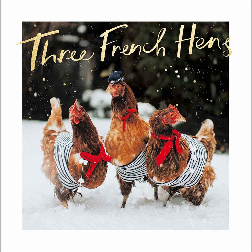 Three French Hens Funny Photographic Christmas Card by penny black