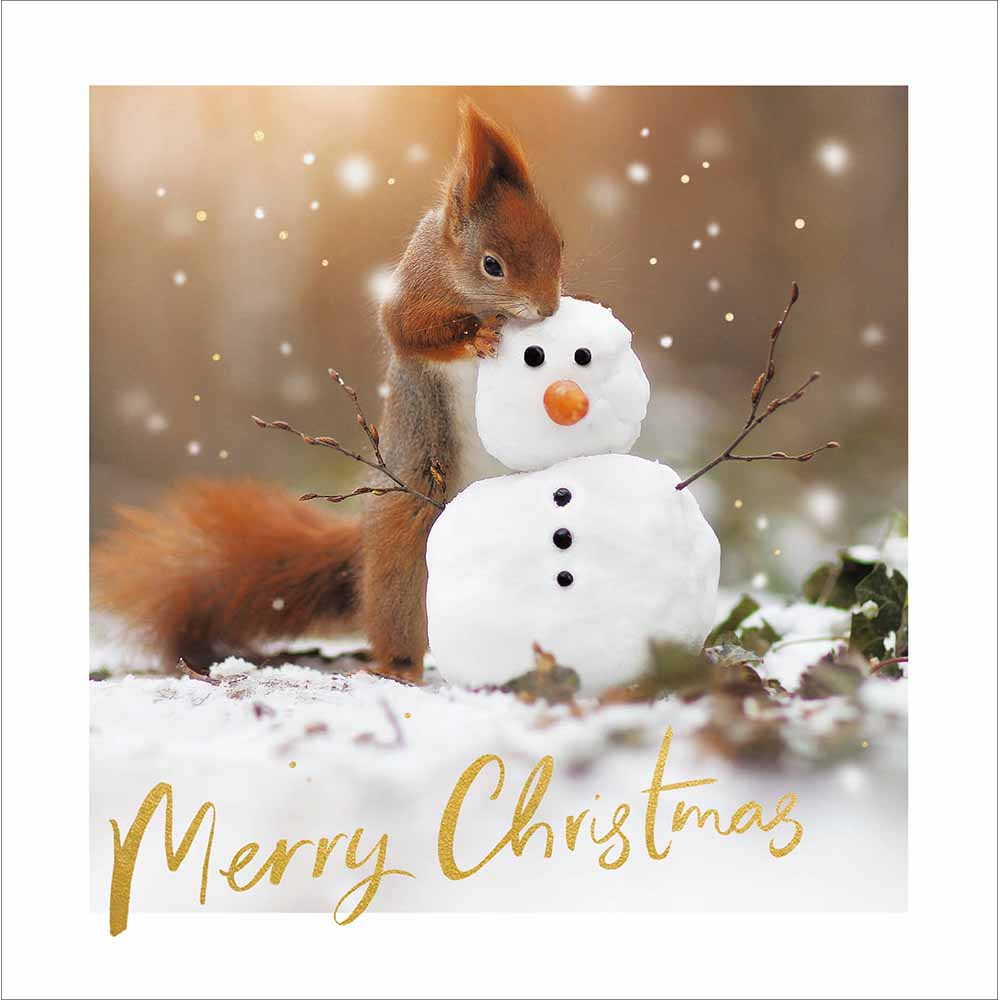 Red Squirrel Snow Play Photographic Christmas Card by penny black