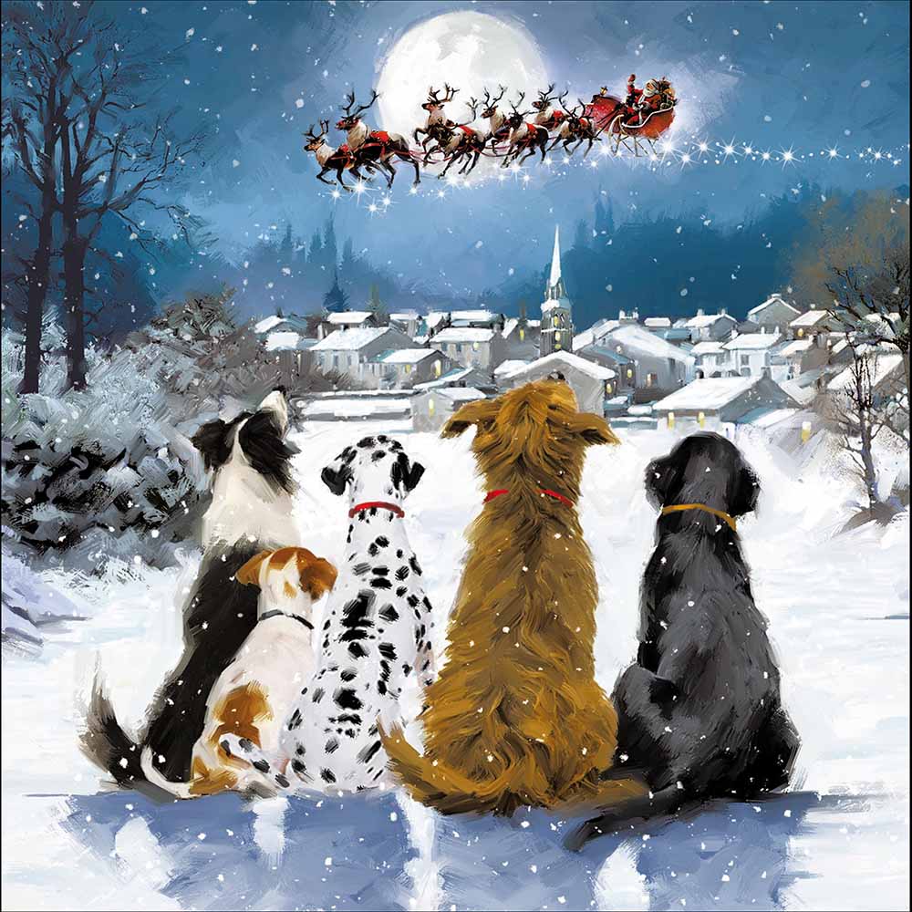 Midnight Watch Dogs Christmas Card by penny black