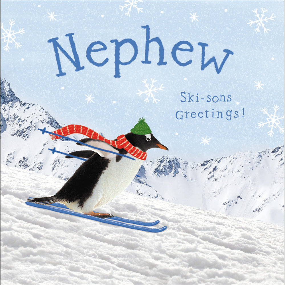 Nephew Ski-sons Greetings Penguin Christmas Card by penny black