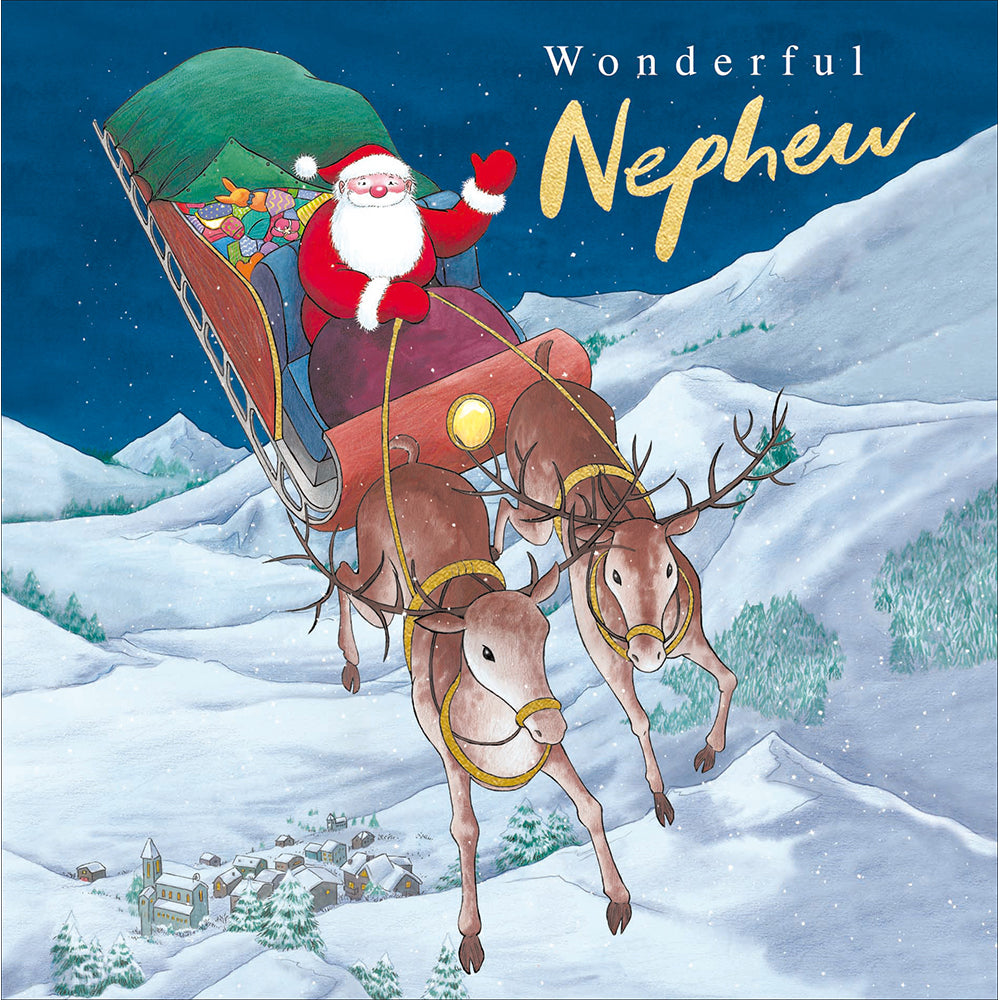 Nephew Sleigh Ride Raymond Briggs Christmas Card by penny black