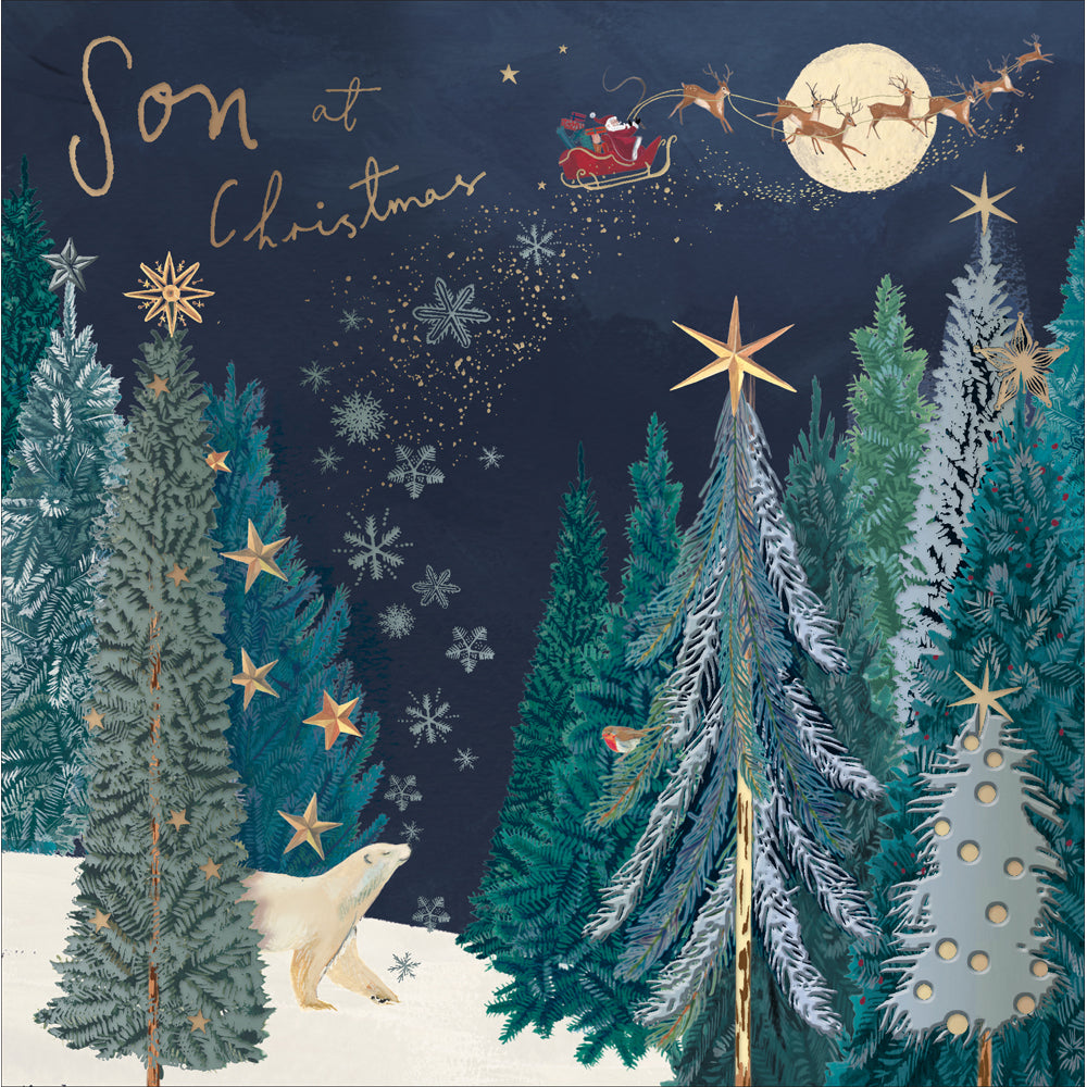 Son Looking for Santa Christmas Card by penny black