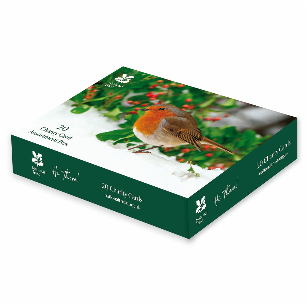 National Trust Christmas Charity Card Set 20 Pk by penny black