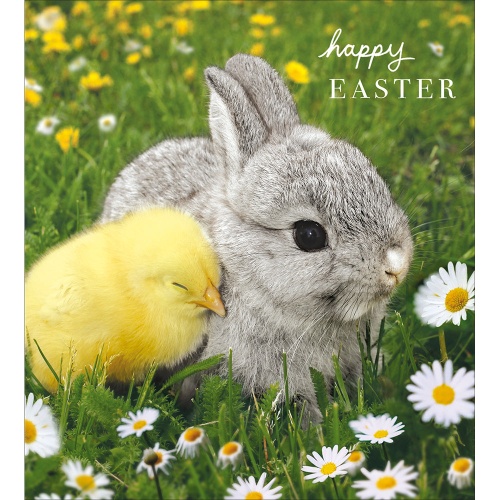 Pack Of 5 Grey Bunny And Yellow Chick Easter Cards By Penny Black