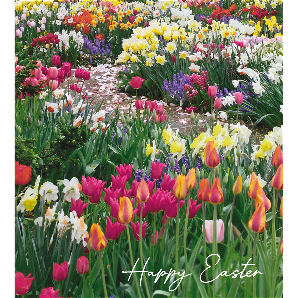 Pack Of 5 Tulip Bed Easter Cards By Penny Black