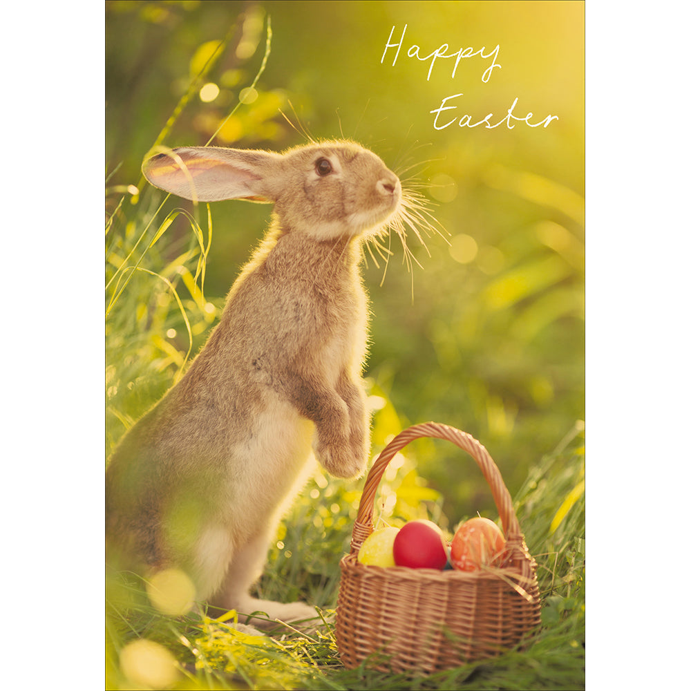 The Egg Collector Bunny Easter Card By Penny Black