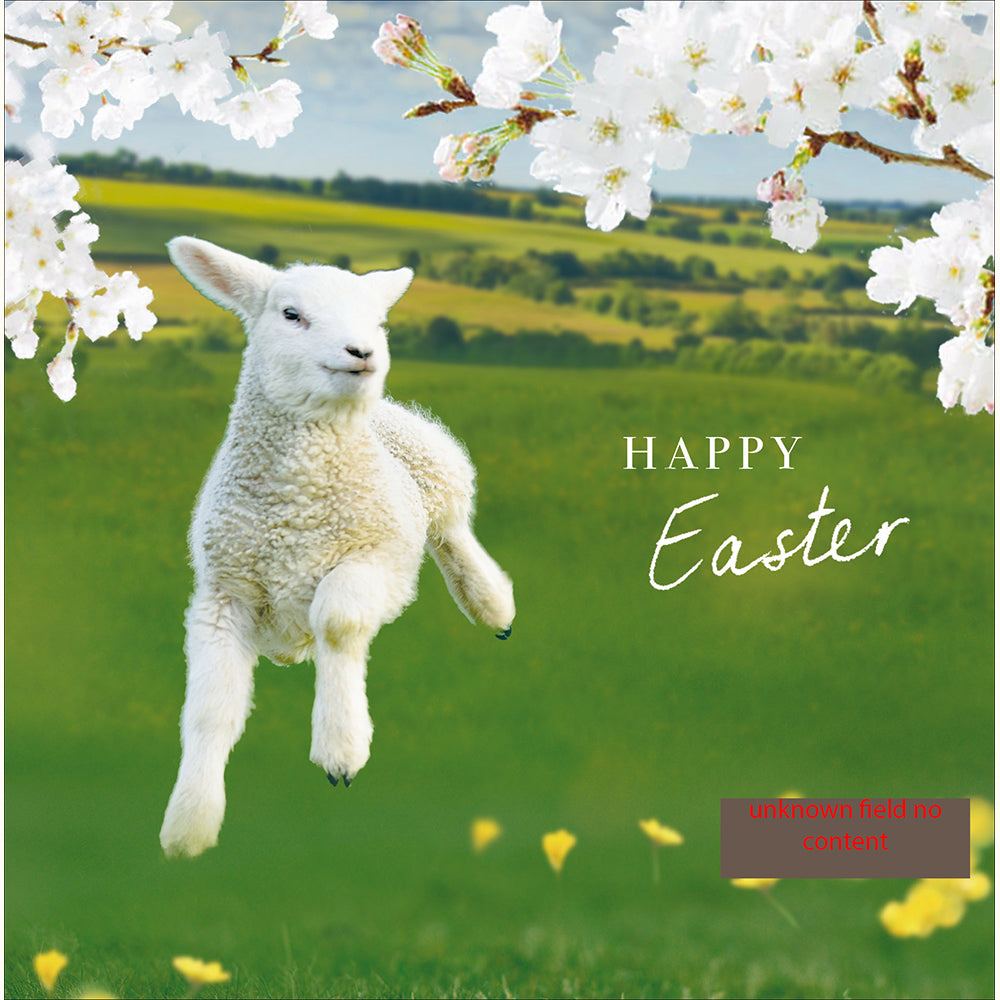 Leaping Lamb Photographic Easter Card