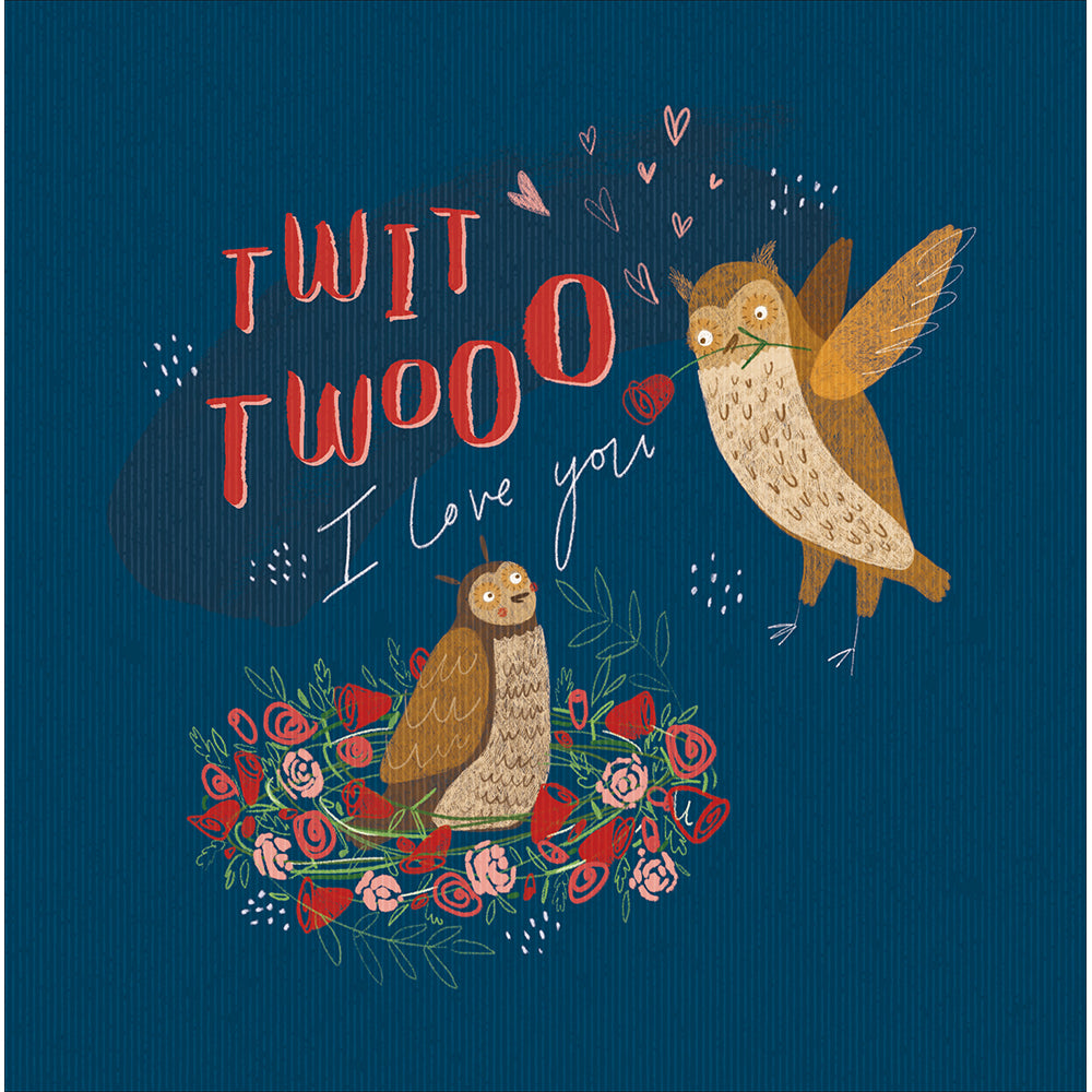 Twit Twooo I Love You Owls Valentine&#39;s Day Card by penny black