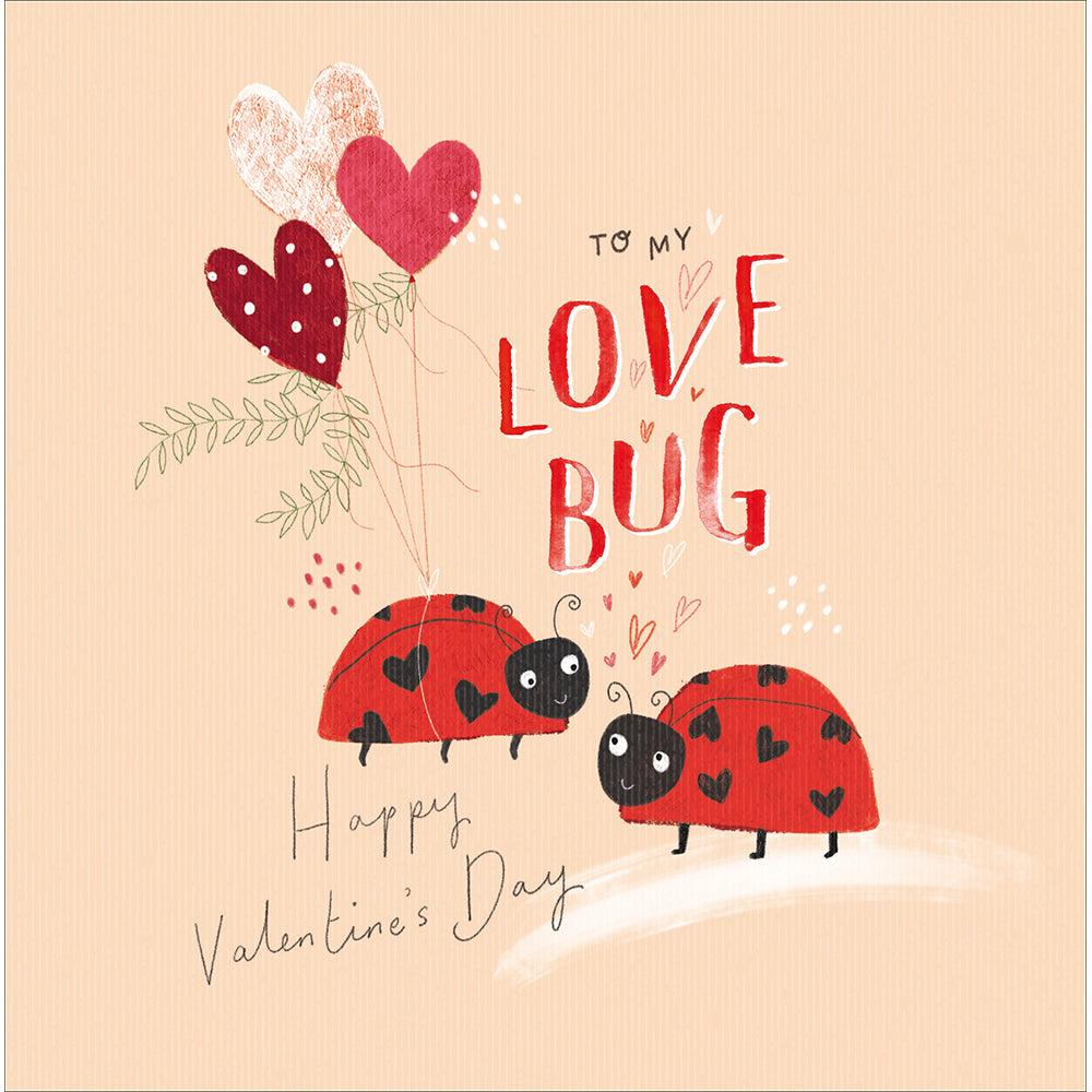 To My Lovebug Ladybirds Valentine&#39;s Day Card by penny black