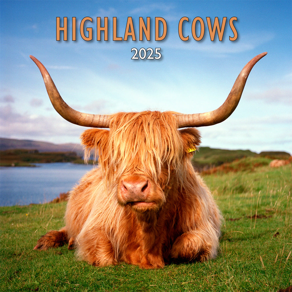 Allan Wright Highland Cows 2025 Calendar by penny black