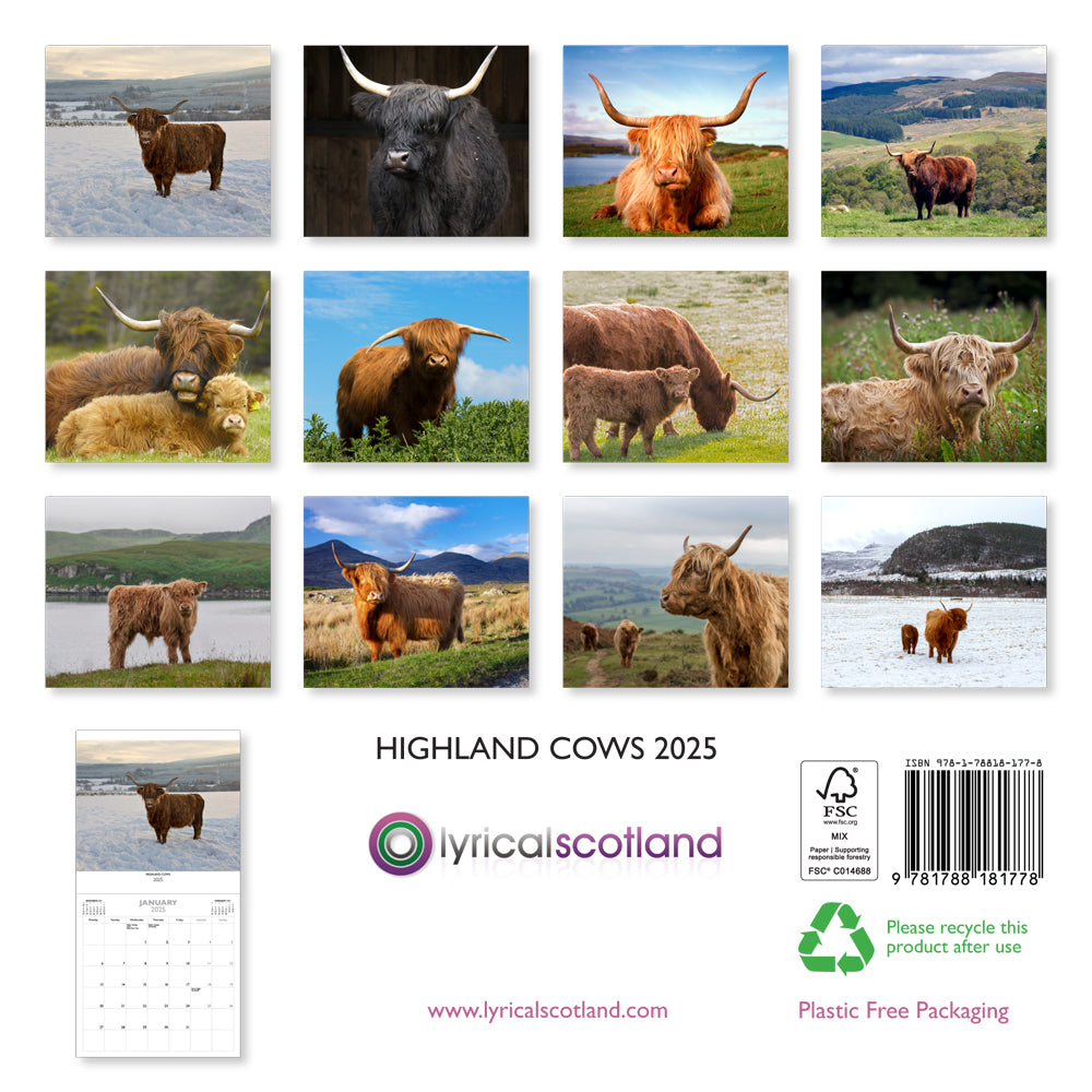 Allan Wright Highland Cows 2025 Calendar inside view by penny black