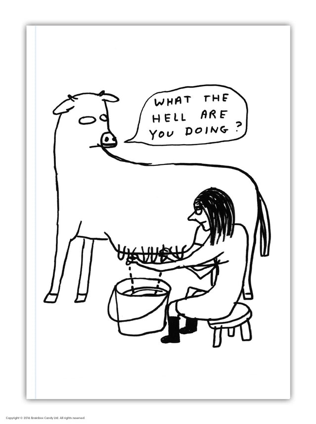 What The Hell David Shrigley A6 Notebook by penny black