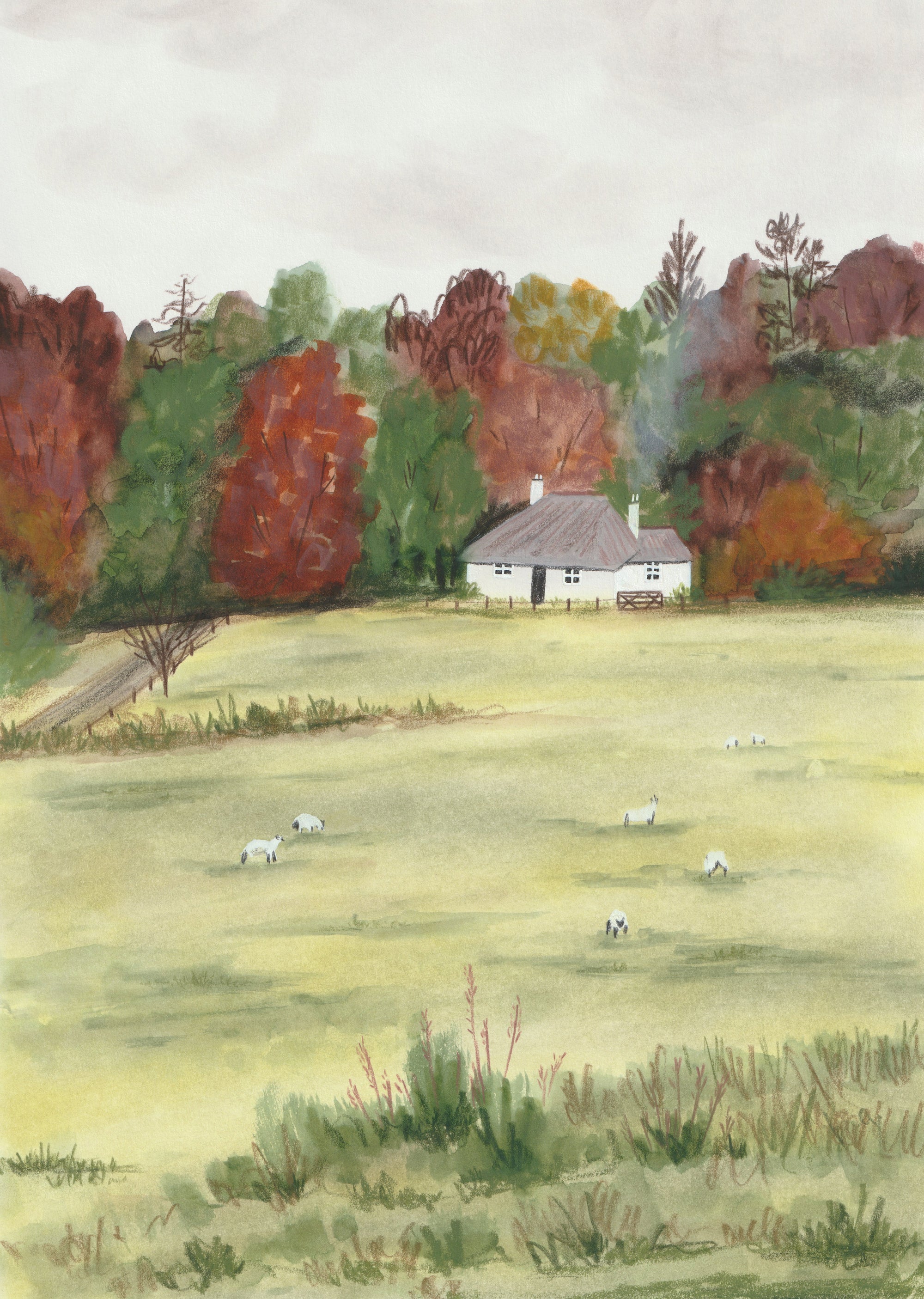 Cottage Galloway Forest Park Scottish Landscape Art Card by penny black