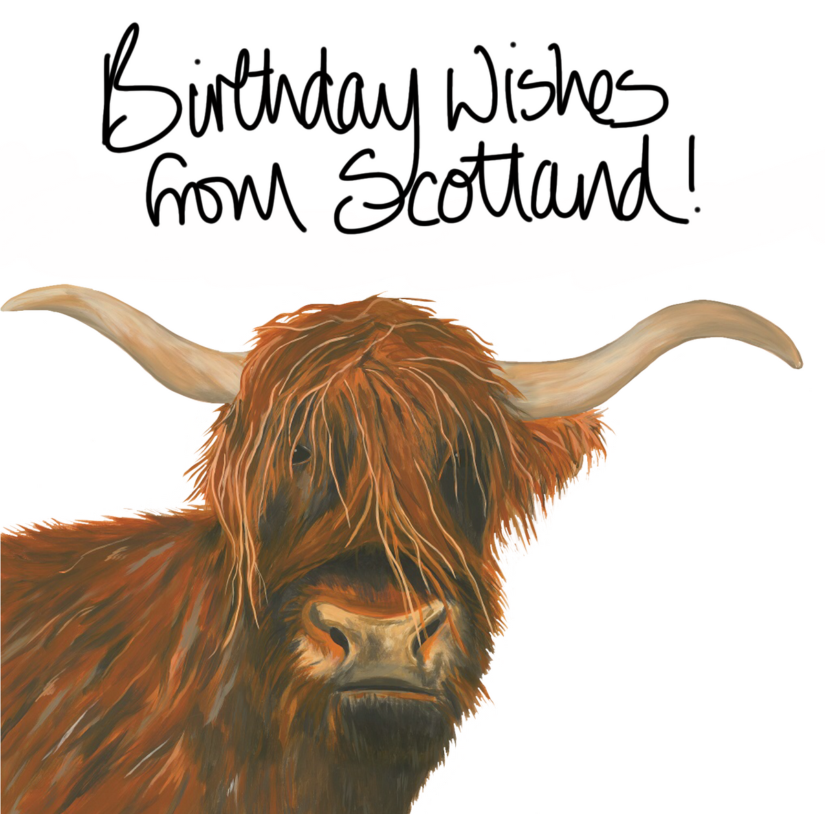 Birthday Wishes From Scotland Highland Cow Card by penny black
