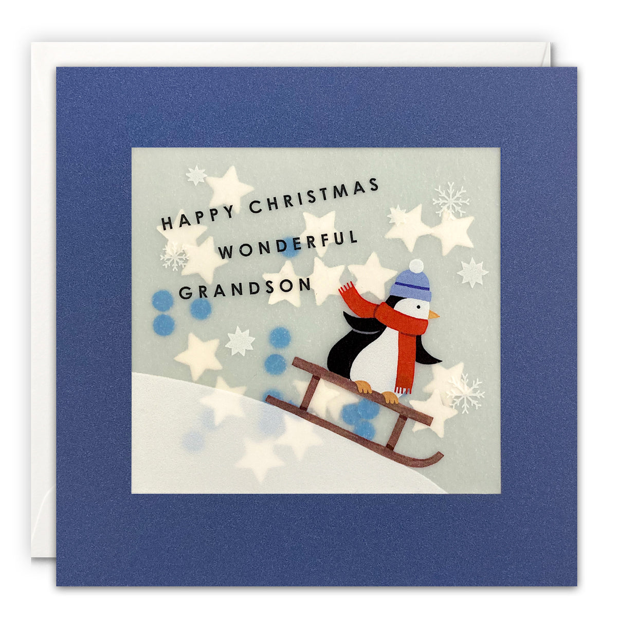 Grandson Penguin Sledging Shakies Christmas Card by penny black