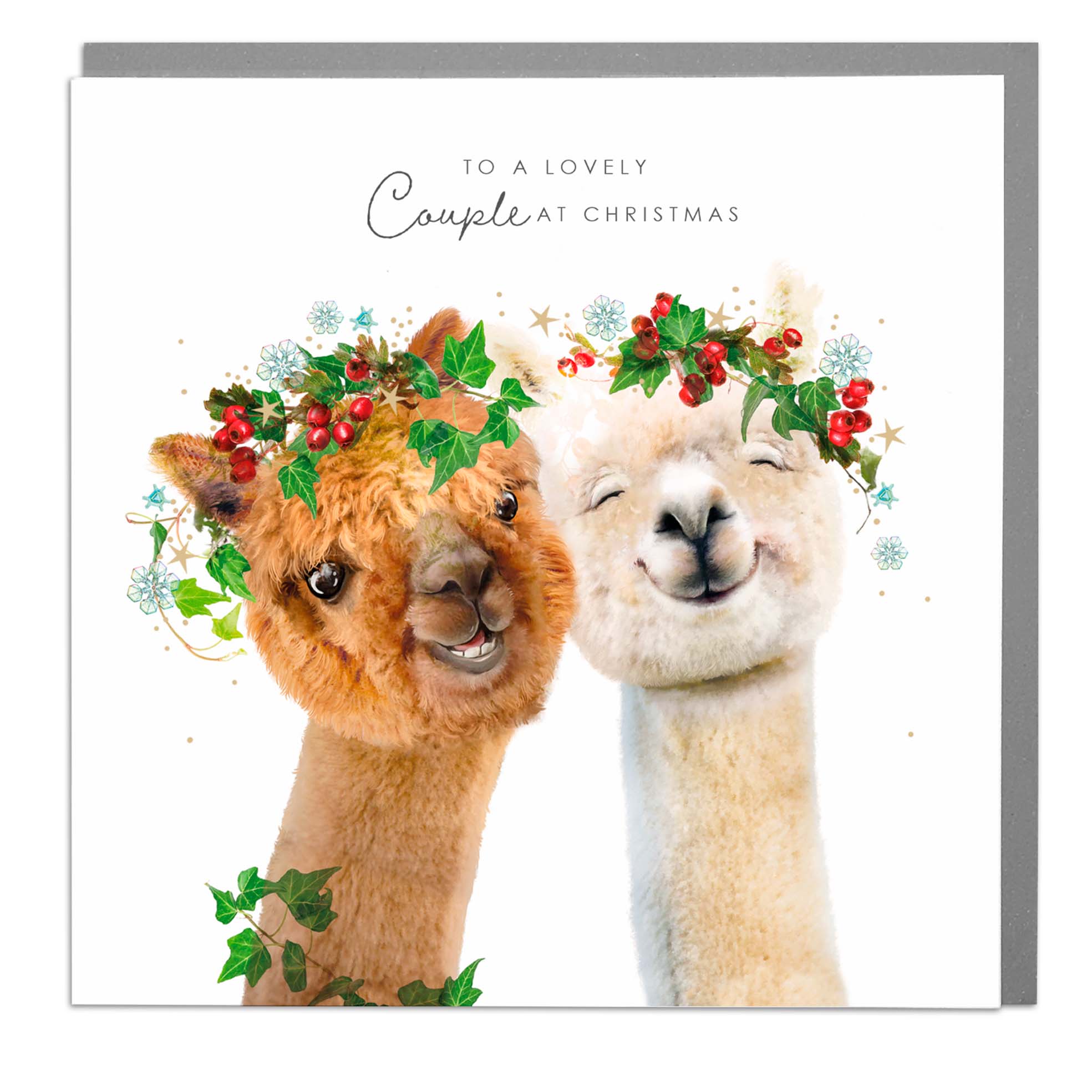 Alpaca Lovely Couple Christmas Card by Penny Black