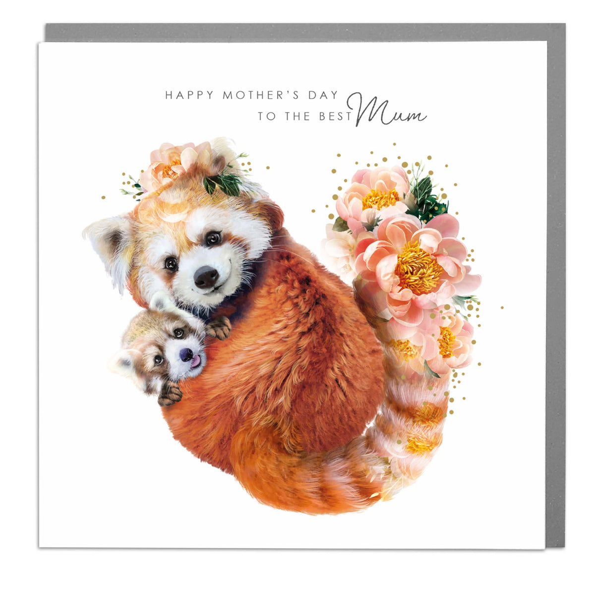 Red Pandas Best Mum Mother&#39;s Day Card by Penny Black