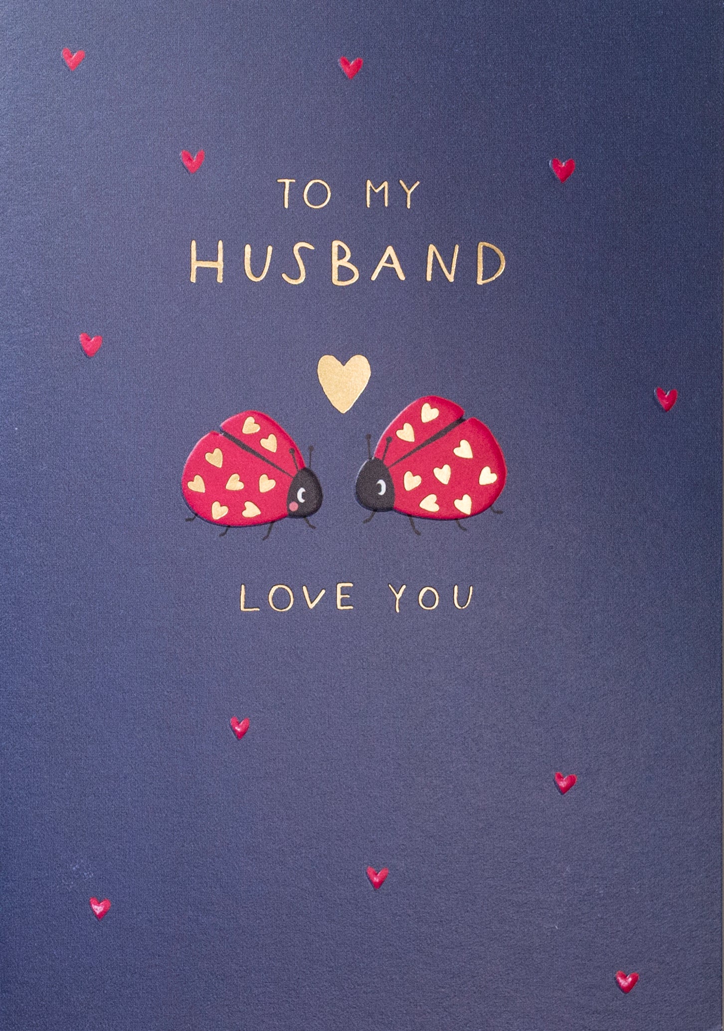 Husband Love Ladybirds Birthday Card from Penny Black