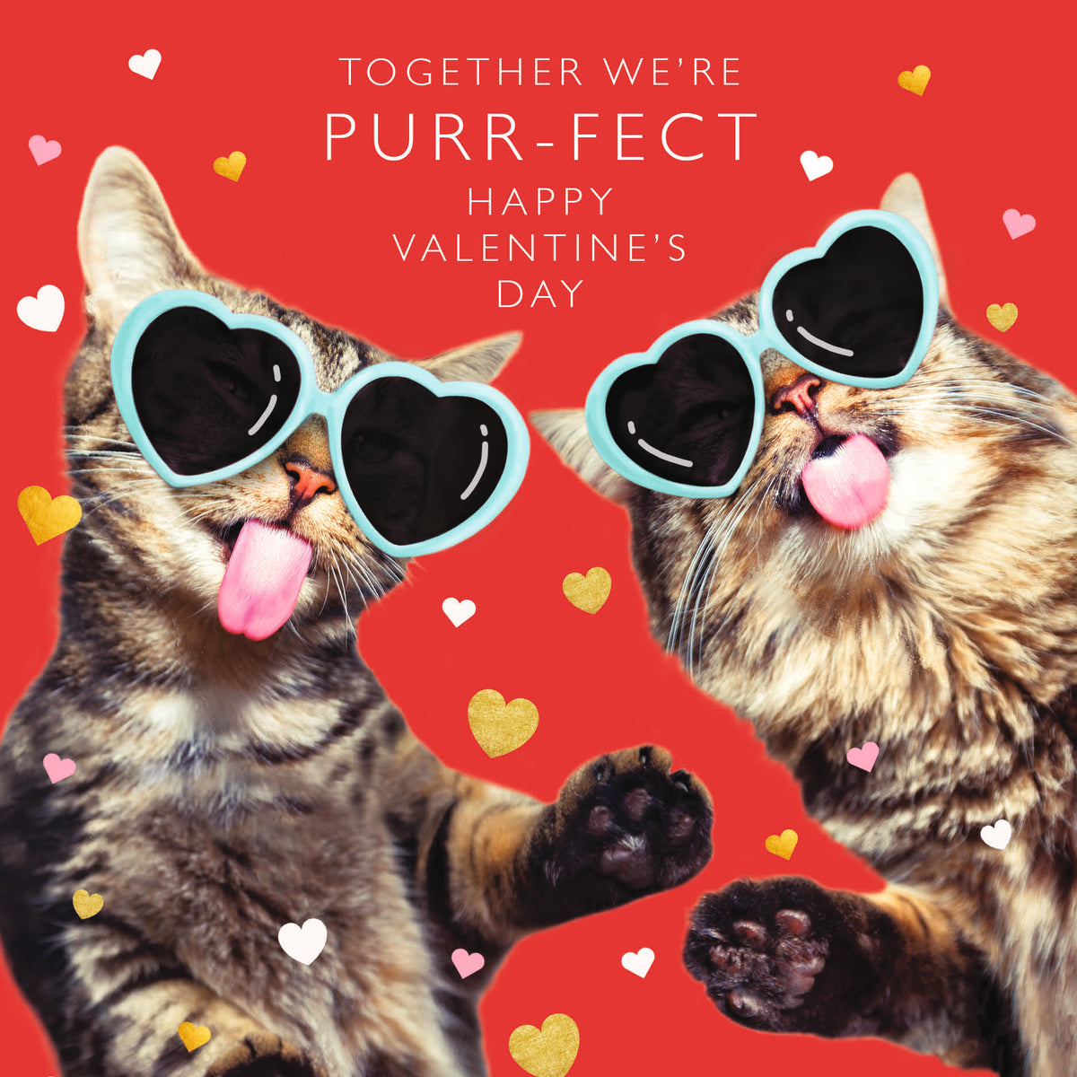 Together We&#39;re Purr-fect Cats Valentine Card by penny black