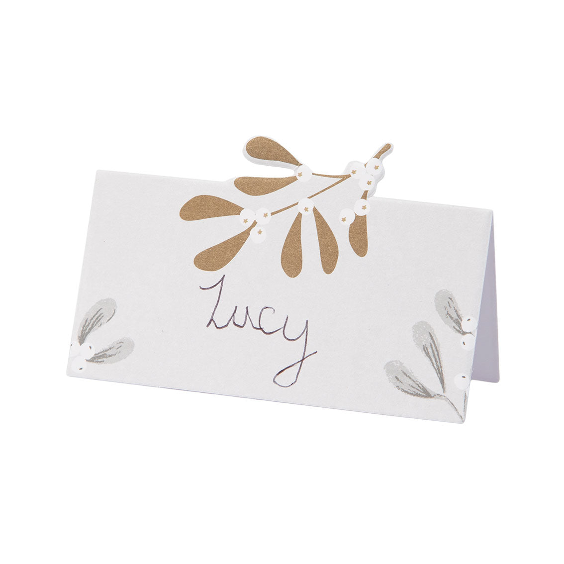 Botanical Mistletoe Christmas Place Cards 12pk by penny black