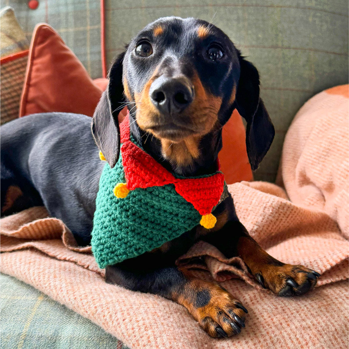 Festive Crochet Pet Bandana on a dog by penny black