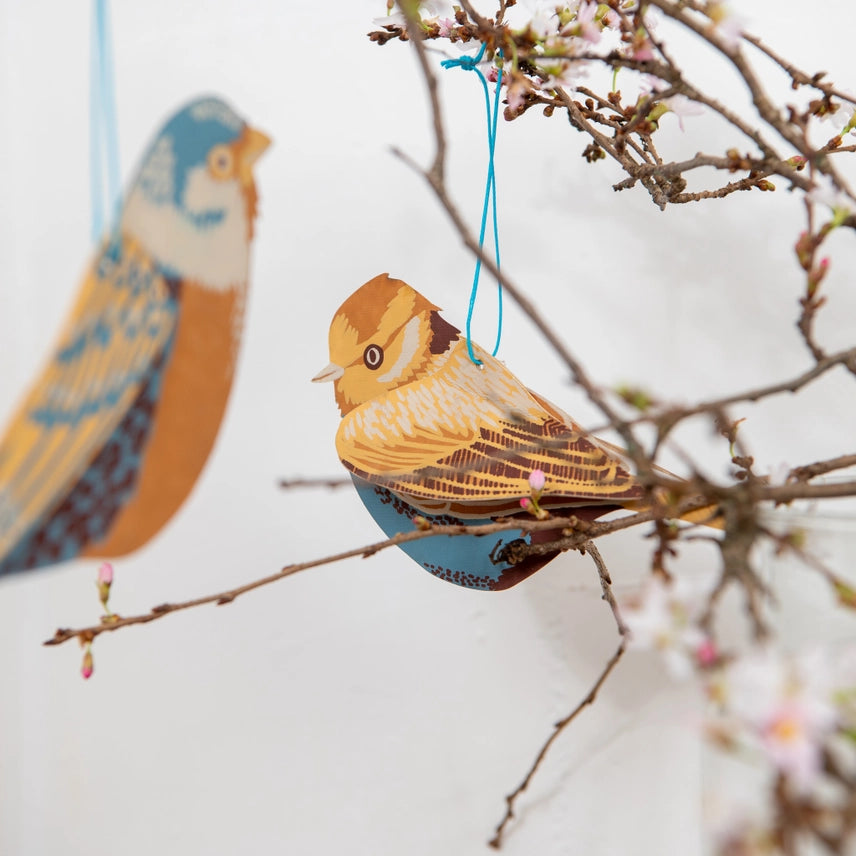 British Birds 3D Paper Decorations hanging on a branch by east end press at penny black