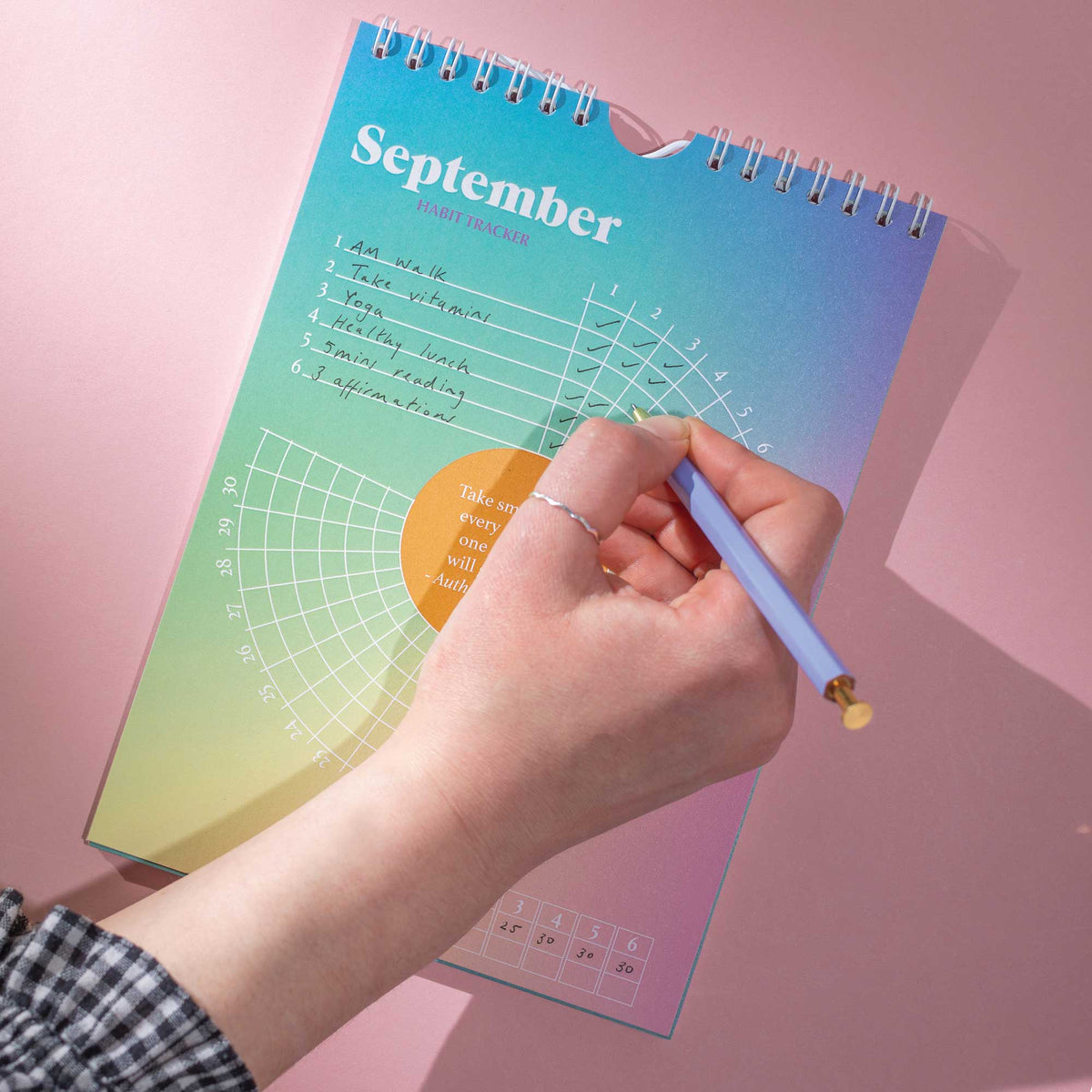 Gradients Daily Habit Tracker 12 Month Goal Planner - being completed by penny black