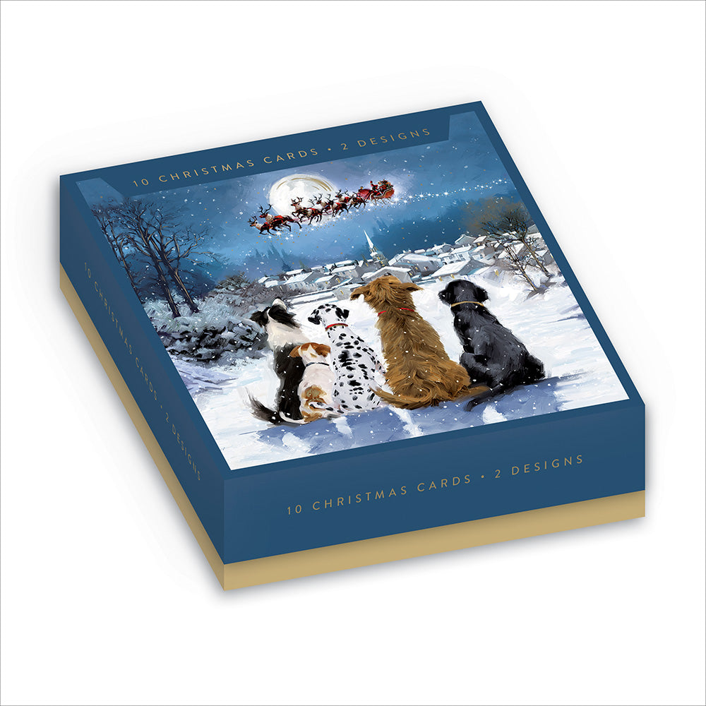 Winter Magic Christmas Card Box Set 10 Pack by penny black