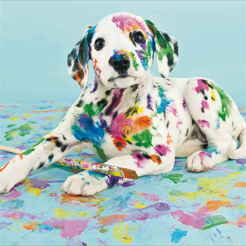 Rainbow dalmatian hot sale