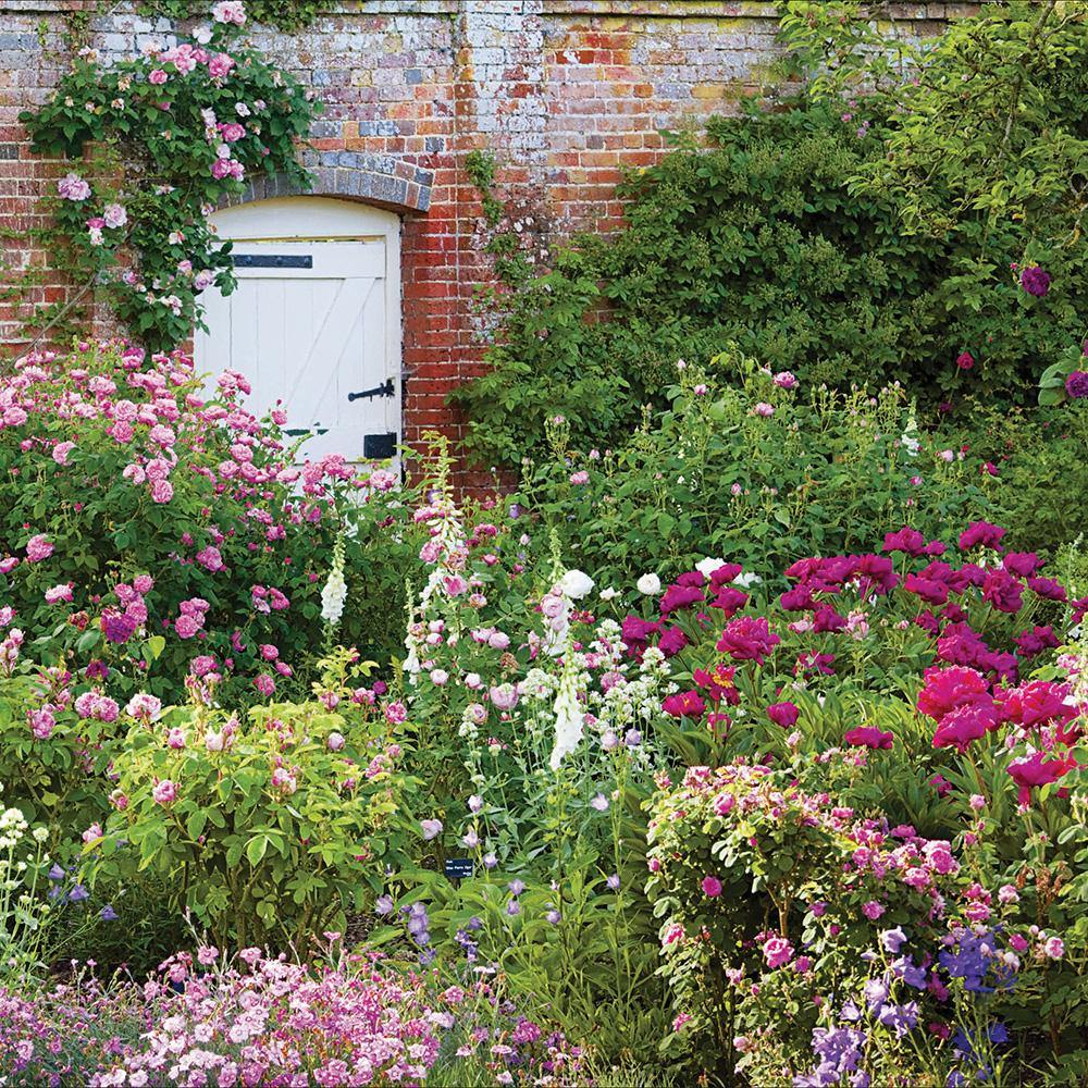 Mottisfont Garden National Trust Card - Penny Black