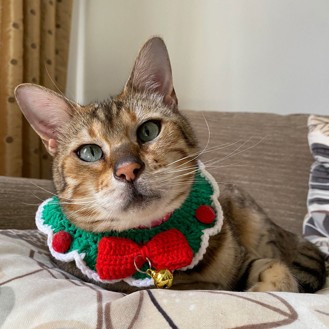 Festive Crochet Cat Collar