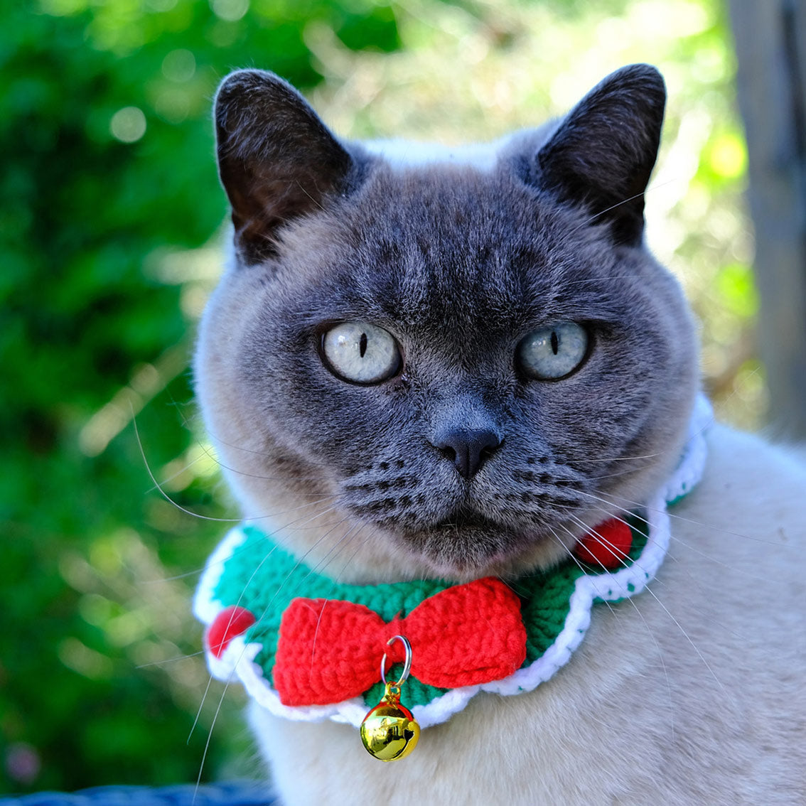 Festive Crochet Cat Collar